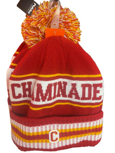 New - Pukka Cuffed Winter Knit Hat - Chaminade White Strip