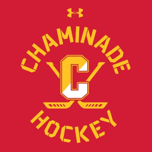 New - Hockey Under Armour Long Sleeve Men's Red Tech Tee