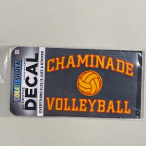Chaminade Flyers Volleyball Decal