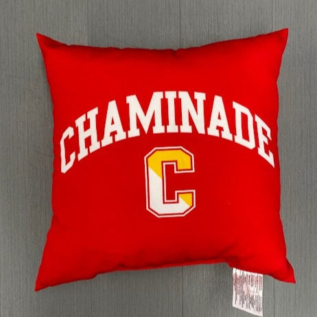 Jardine Chaminade OUTDOOR Pillow Poly Filled 17x17
